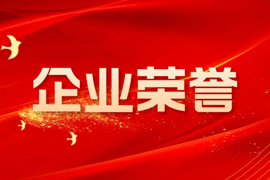 華工科技高理公司榮獲零跑汽車“優(yōu)秀伙伴獎(jiǎng)”